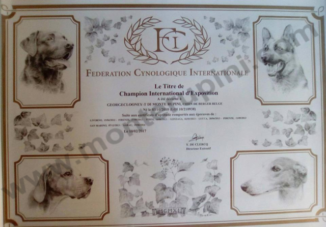 Diploma CIE